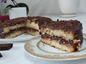 Шоколадный торт с ганашем и бисквитом 