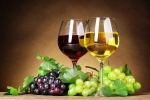 Чем заменить белое и красное вино при готовке?